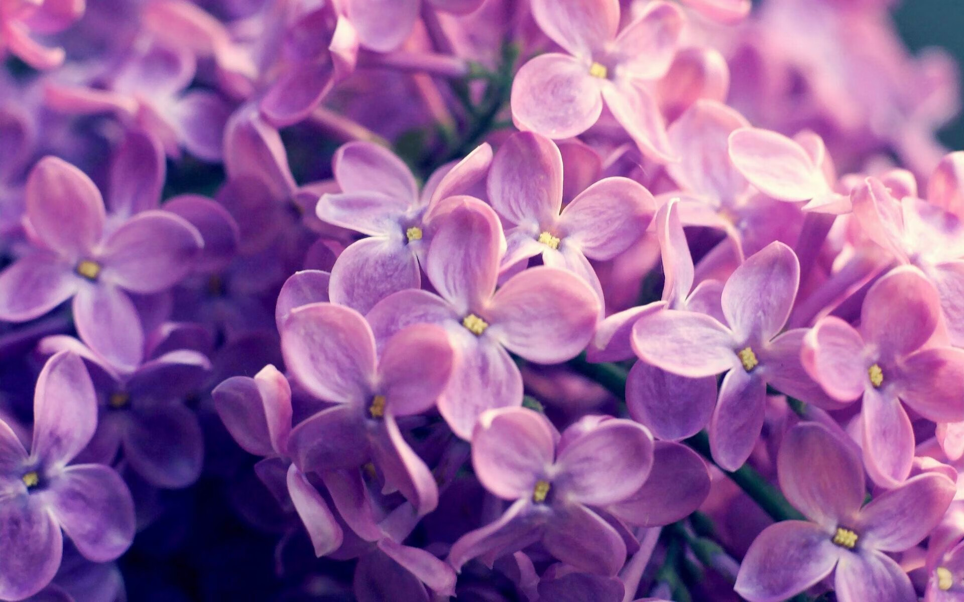 一人屠榜难救主!加克波数据爆炸夜,映照现代足球最残酷悖论